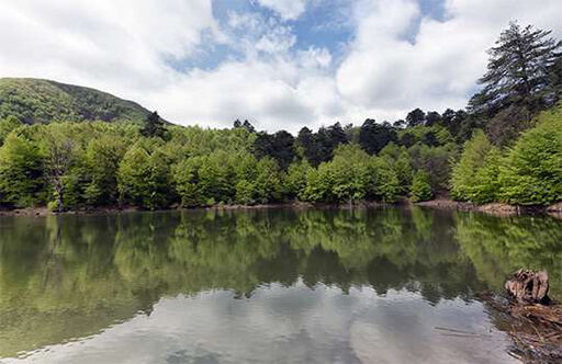 Yalova’da Bir Gün