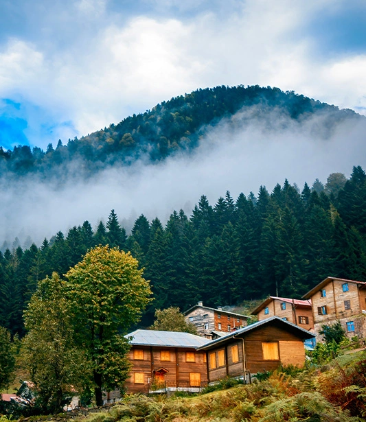Karadeniz Gezi Rehberi: Yeşilin ve Özgürlüğün Peşinde bir Yolculuk